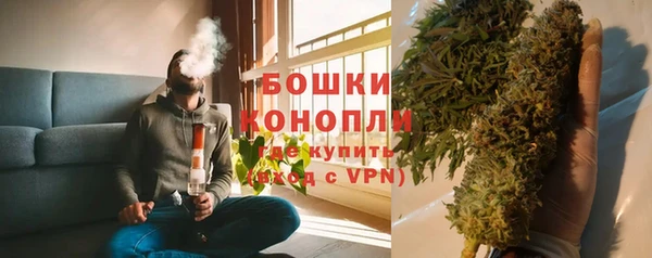 твердый Горнозаводск