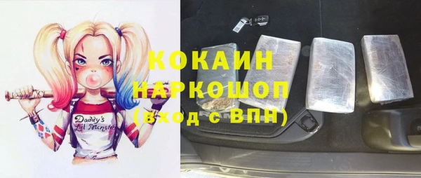крисы Горняк