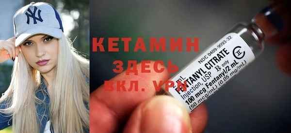 крисы Горняк