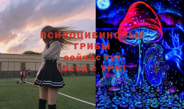 твердый Горнозаводск