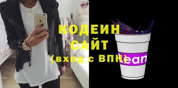 крисы Горняк