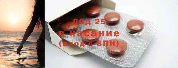 крисы Горняк