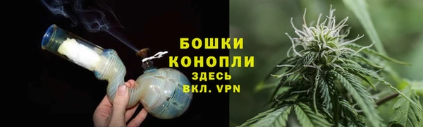 твердый Горнозаводск