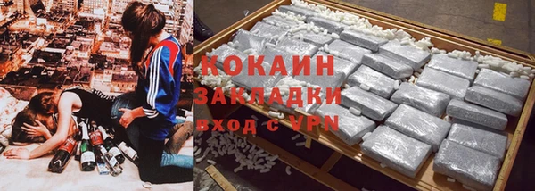 крисы Горняк