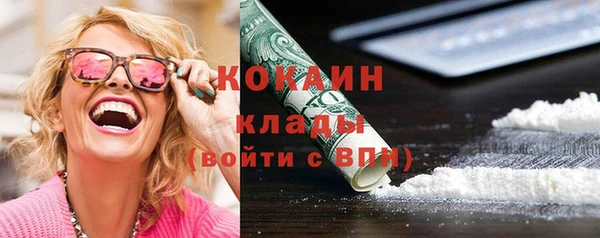 крисы Горняк