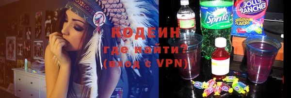 крисы Горняк