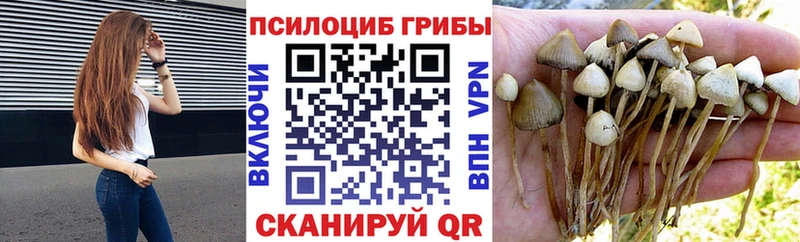магазин продажи наркотиков  mega как зайти  Галлюциногенные грибы мухоморы  Нижний Ломов 